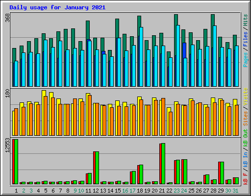 Daily usage for January 2021