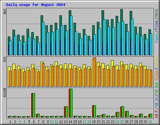 Daily usage for August 2024