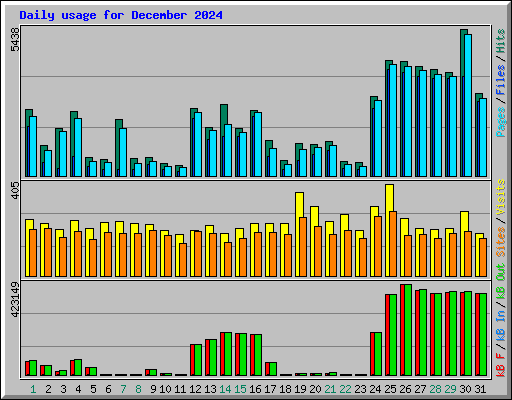 Daily usage for December 2024
