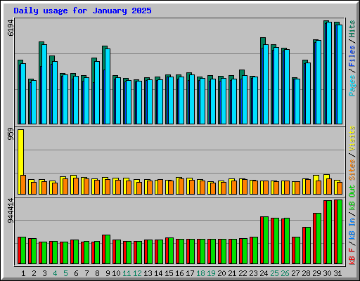 Daily usage for January 2025