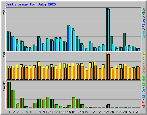 Daily usage for July 2025