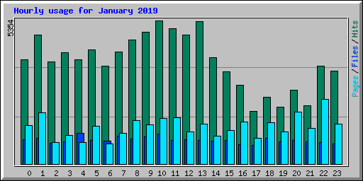 Hourly usage for January 2019