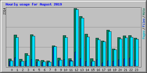 Hourly usage for August 2019
