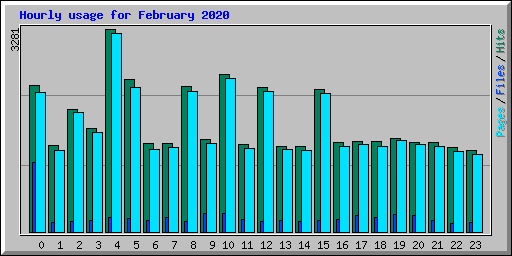 Hourly usage for February 2020