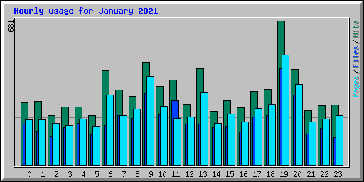 Hourly usage for January 2021
