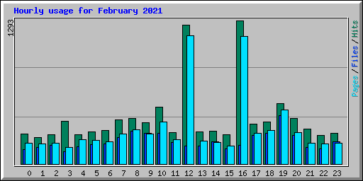 Hourly usage for February 2021