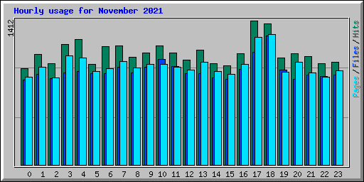 Hourly usage for November 2021