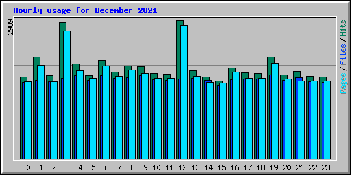 Hourly usage for December 2021