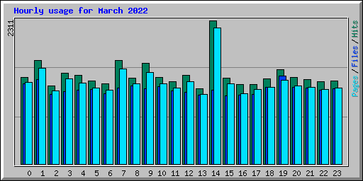 Hourly usage for March 2022
