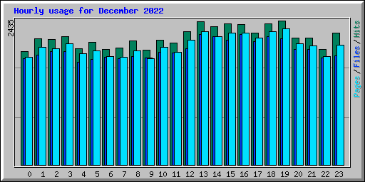 Hourly usage for December 2022