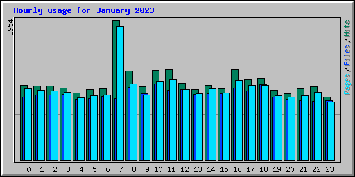 Hourly usage for January 2023