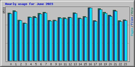 Hourly usage for June 2023