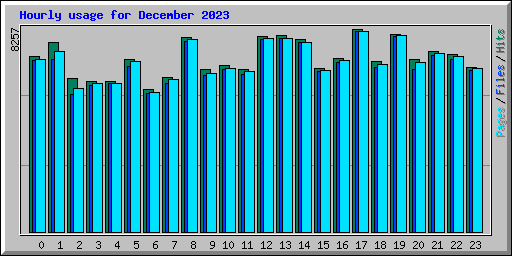 Hourly usage for December 2023