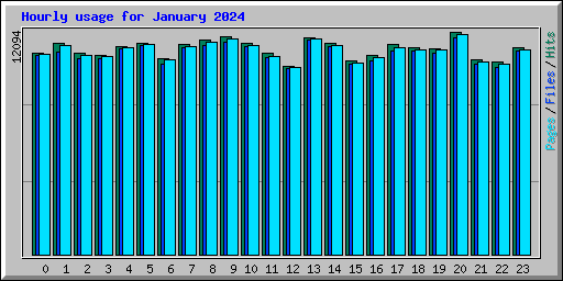 Hourly usage for January 2024