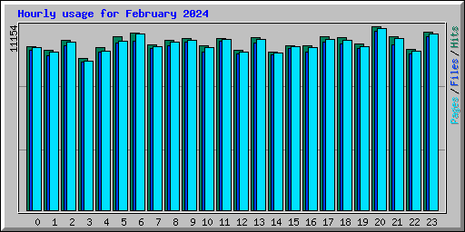 Hourly usage for February 2024
