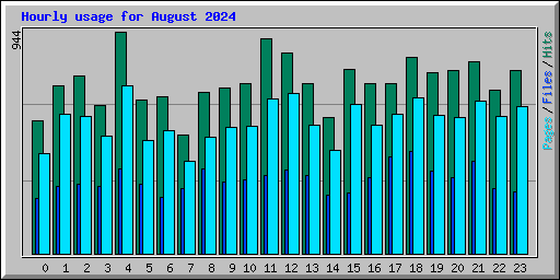 Hourly usage for August 2024
