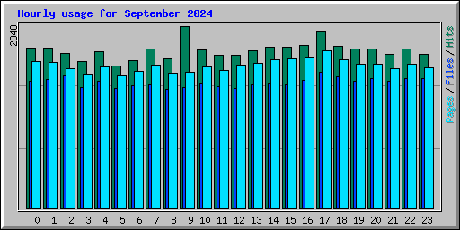 Hourly usage for September 2024