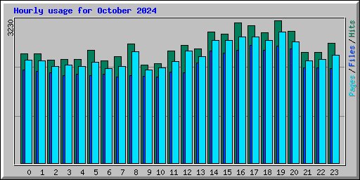 Hourly usage for October 2024