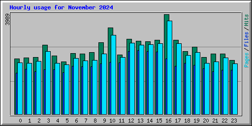 Hourly usage for November 2024