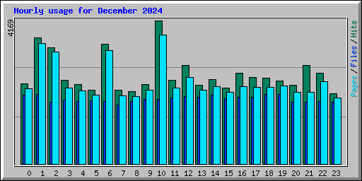 Hourly usage for December 2024