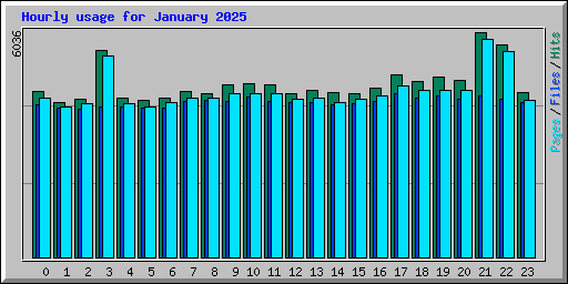Hourly usage for January 2025