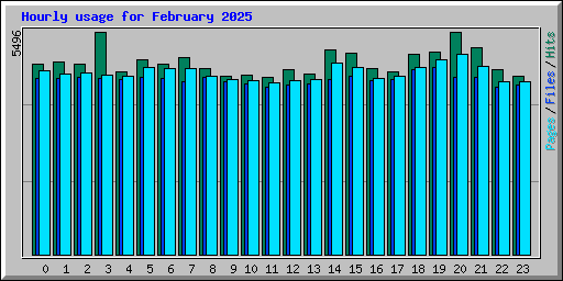 Hourly usage for February 2025