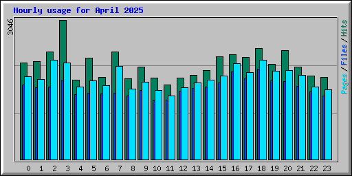 Hourly usage for April 2025