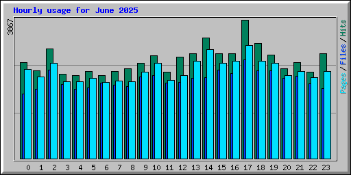 Hourly usage for June 2025