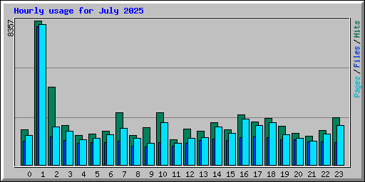 Hourly usage for July 2025