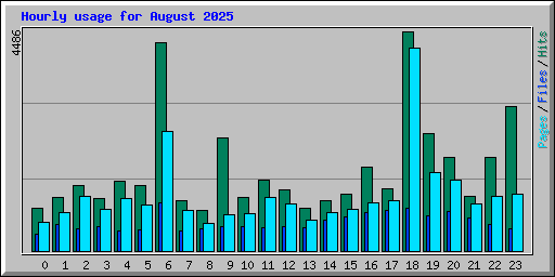Hourly usage for August 2025