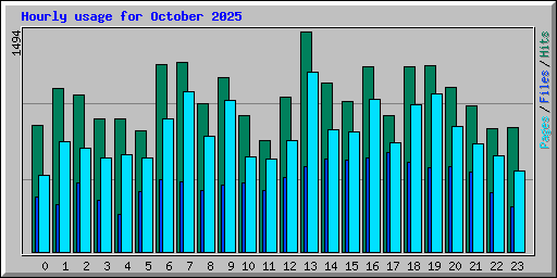 Hourly usage for October 2025