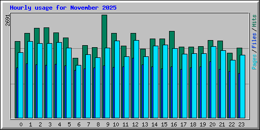 Hourly usage for November 2025