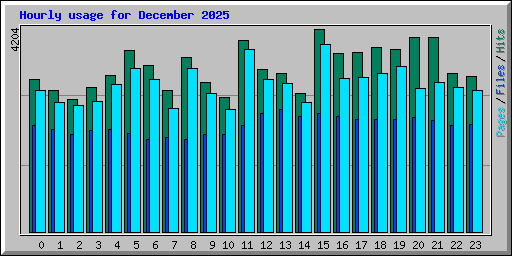 Hourly usage for December 2025