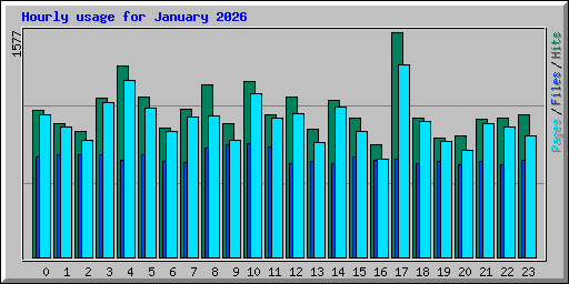 Hourly usage for January 2026
