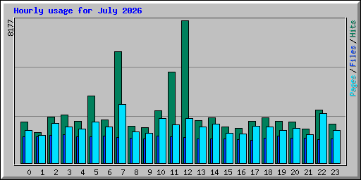 Hourly usage for July 2026